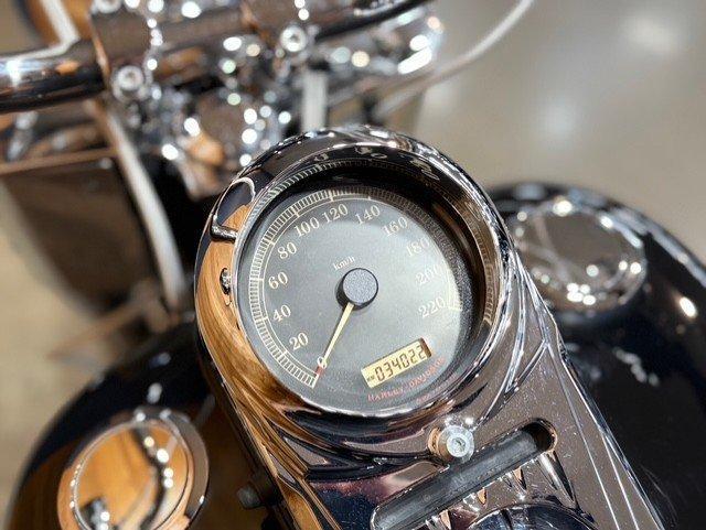 2007 HARLEY-DAVIDSON FLSTF FAT BOY CRUISER