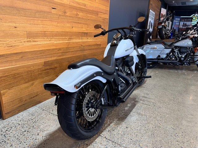 2009 HARLEY-DAVIDSON FXSTB NIGHT TRAIN CRUISER