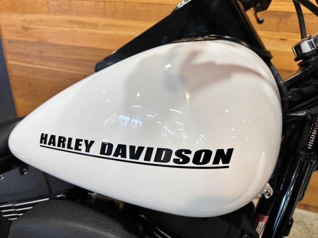 2009 HARLEY-DAVIDSON FXSTB NIGHT TRAIN CRUISER