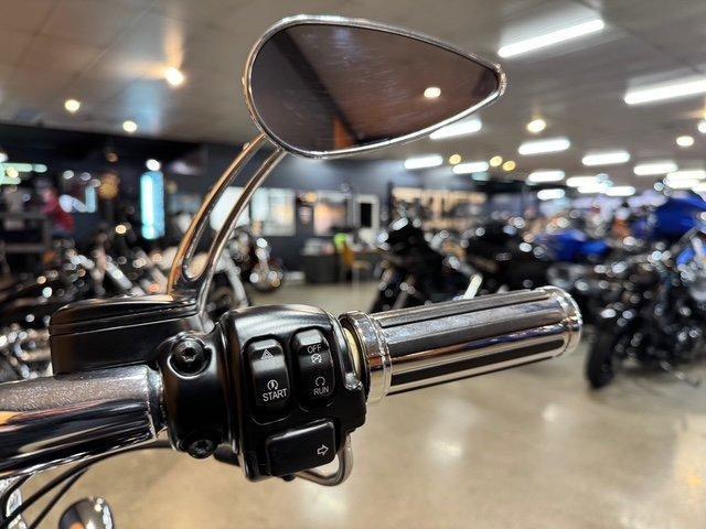 2010 HARLEY-DAVIDSON FXST SOFTAIL STANDARD CRUISER