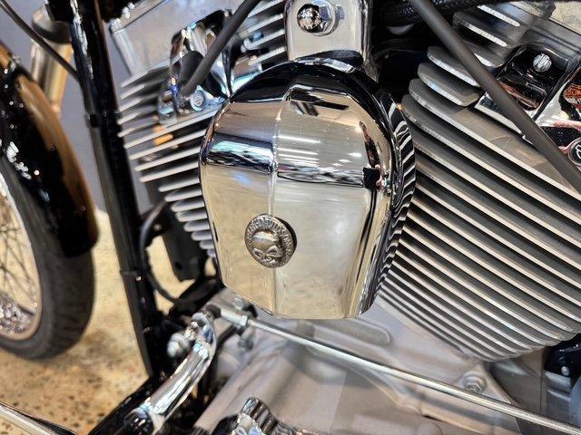 2010 HARLEY-DAVIDSON FXST SOFTAIL STANDARD CRUISER