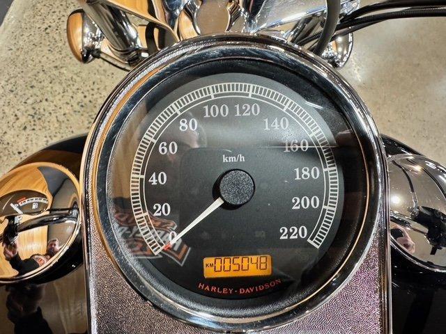 2010 HARLEY-DAVIDSON FXST SOFTAIL STANDARD CRUISER