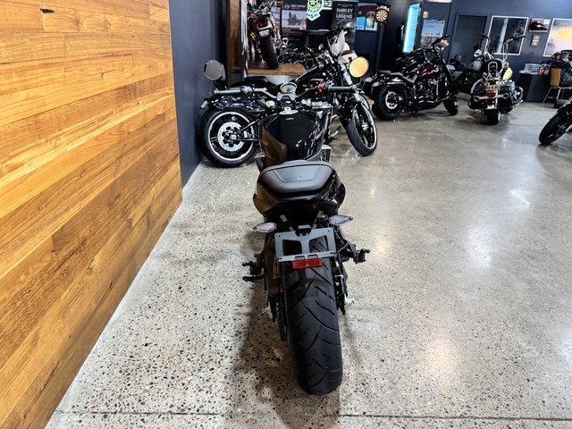 2024 HARLEY-DAVIDSON HD350-10 H-DX X350 CRUISER