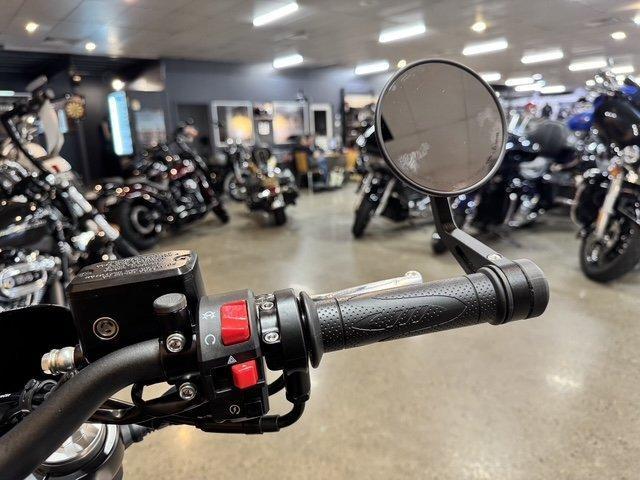 2024 HARLEY-DAVIDSON HD350-10 H-DX X350 CRUISER