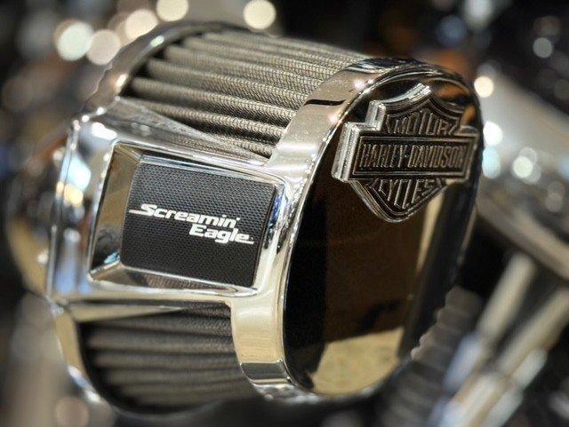 2021 HARLEY-DAVIDSON FLFBS FAT BOY (114) CRUISER