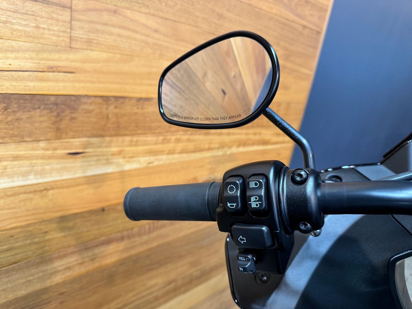 2022 HARLEY-DAVIDSON FXLRST LOW RIDER ST (117) CRUISER