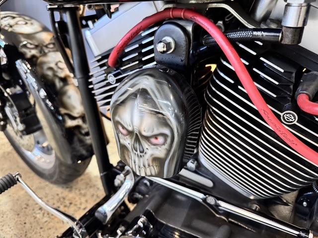 2009 HARLEY-DAVIDSON FLSTFB FAT BOY LO CRUISER