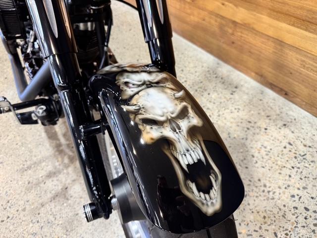 2009 HARLEY-DAVIDSON FLSTFB FAT BOY LO CRUISER