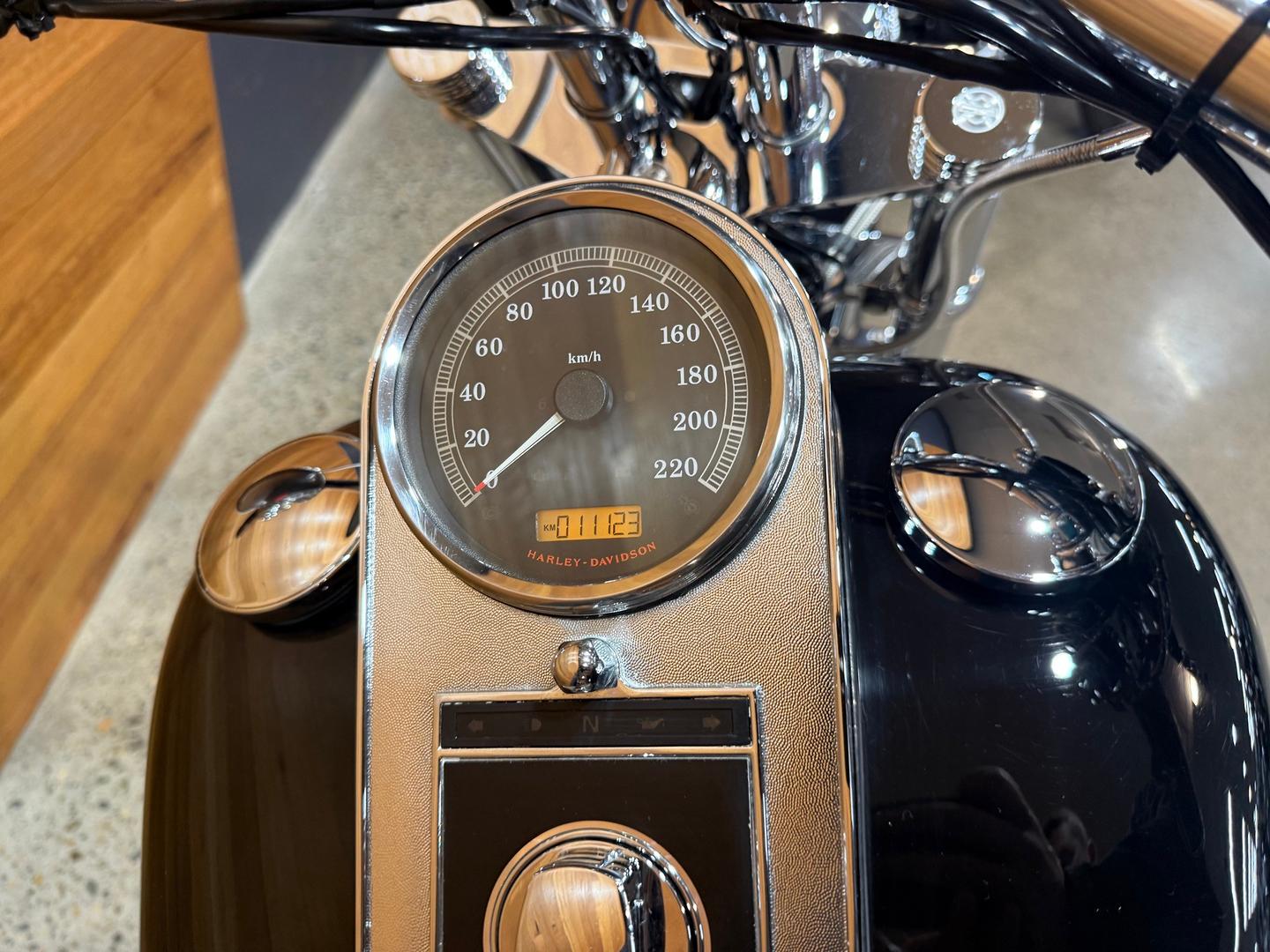 2012 HARLEY-DAVIDSON FXST SOFTAIL STANDARD CRUISER