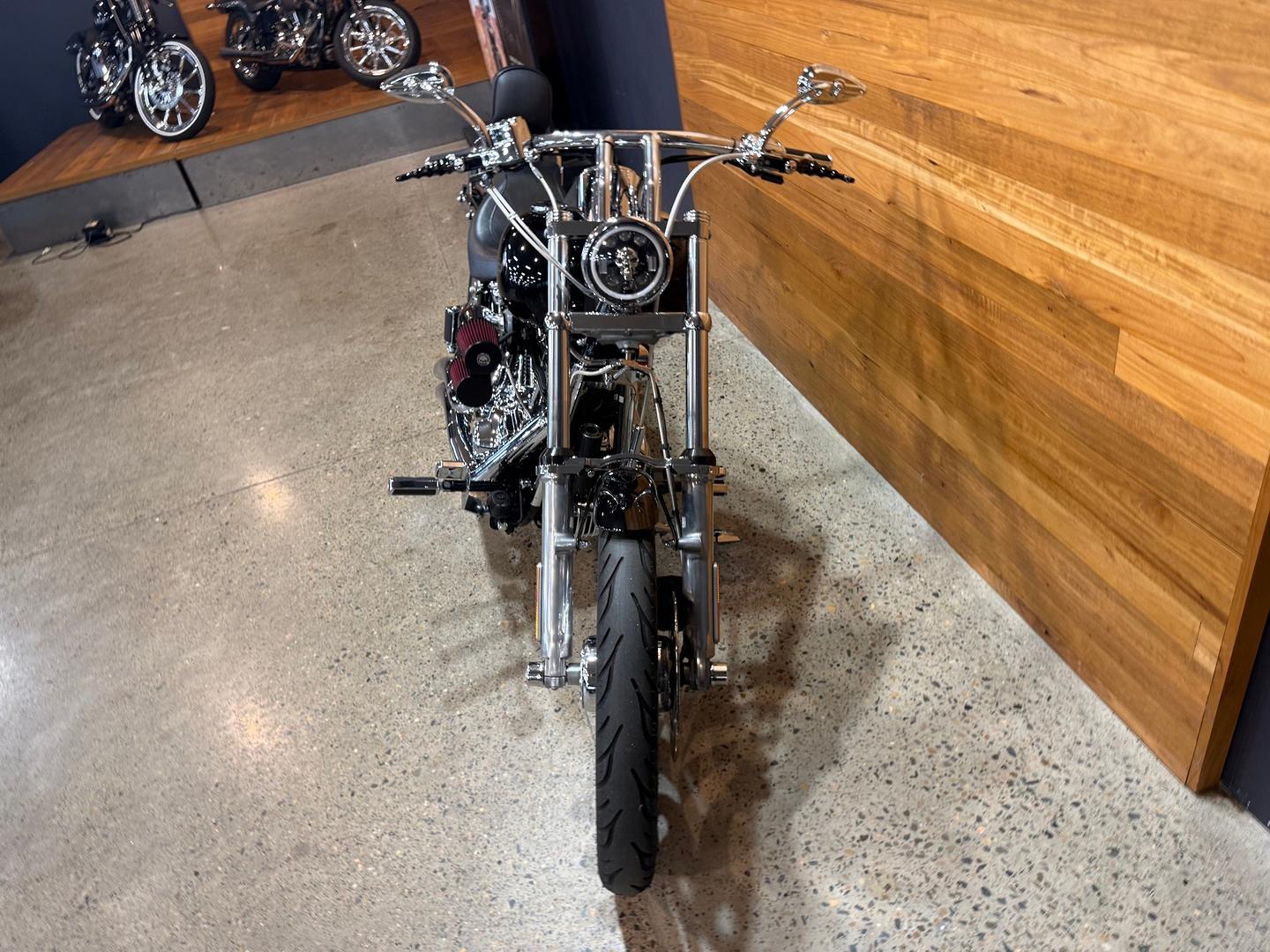 2012 HARLEY-DAVIDSON FXST SOFTAIL STANDARD CRUISER