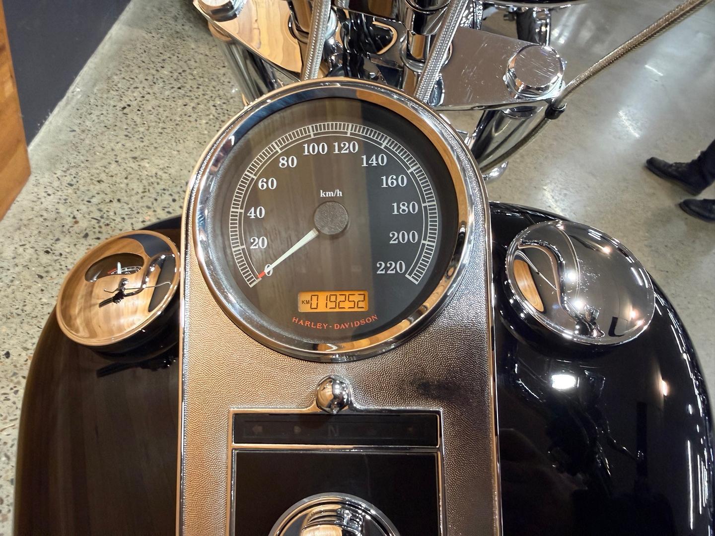 2013 HARLEY-DAVIDSON FXST SOFTAIL STANDARD CRUISER