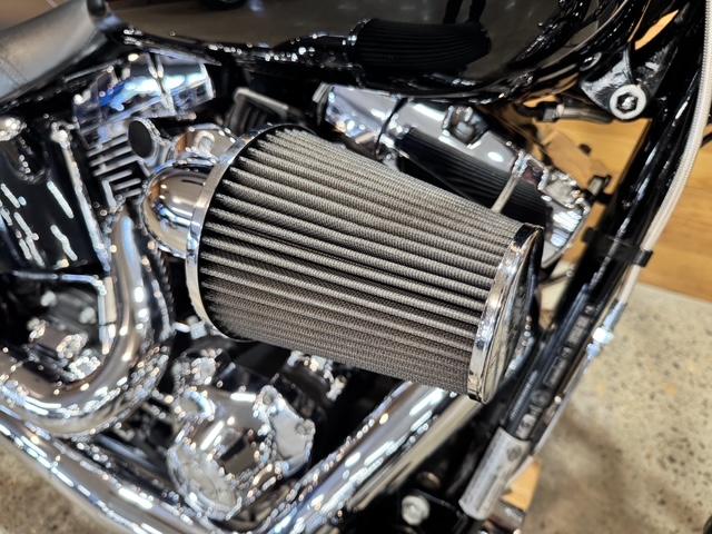 2014 HARLEY-DAVIDSON FXST SOFTAIL STANDARD CRUISER