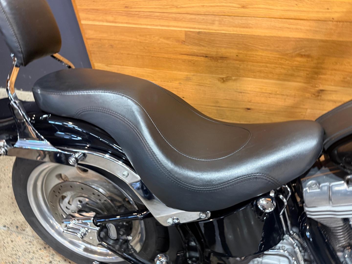 2007 HARLEY-DAVIDSON FXST SOFTAIL STANDARD CRUISER