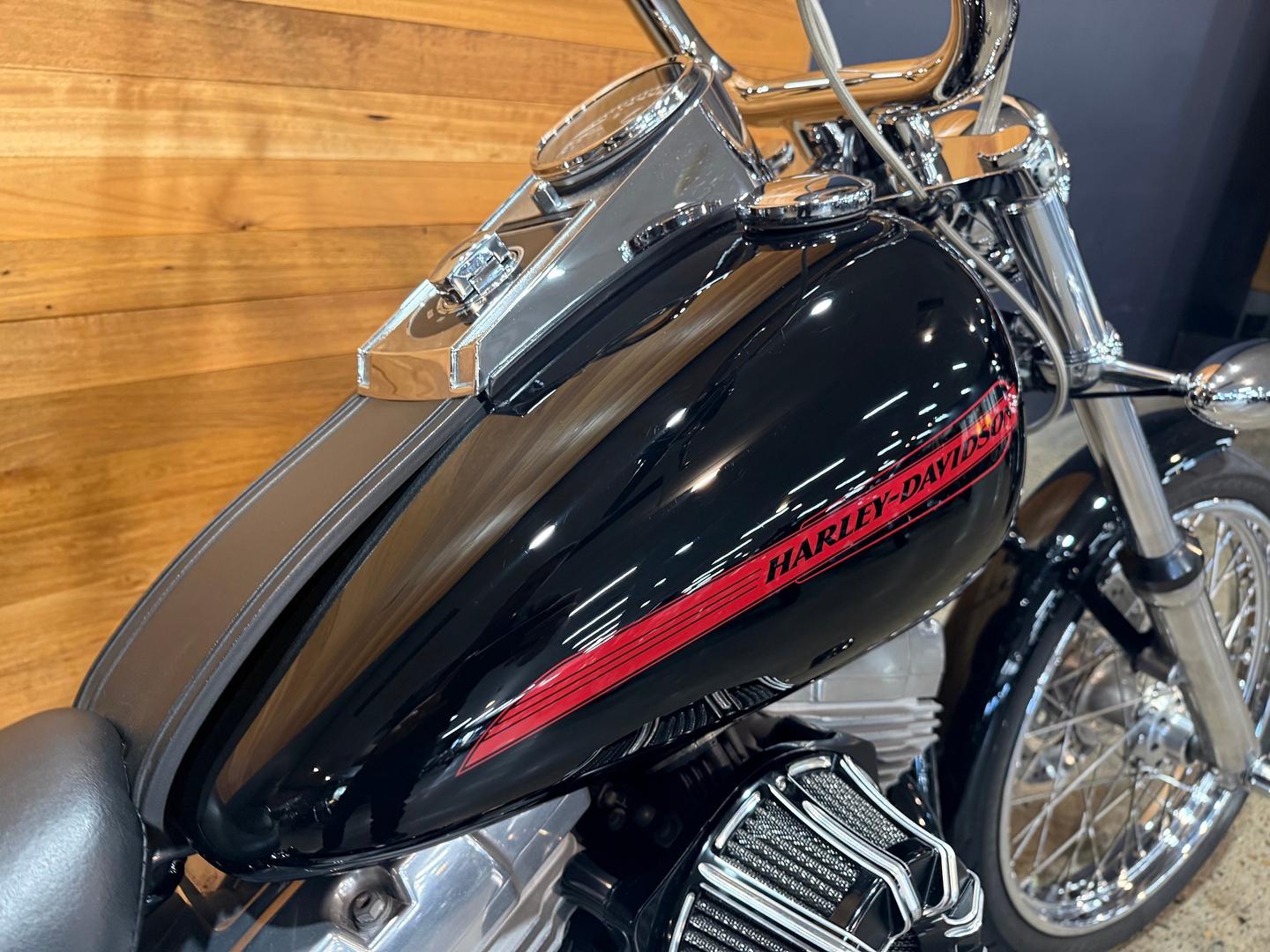 2007 HARLEY-DAVIDSON FXST SOFTAIL STANDARD CRUISER