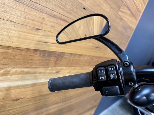 2019 HARLEY-DAVIDSON XL1200NS IRON 1200 CRUISER