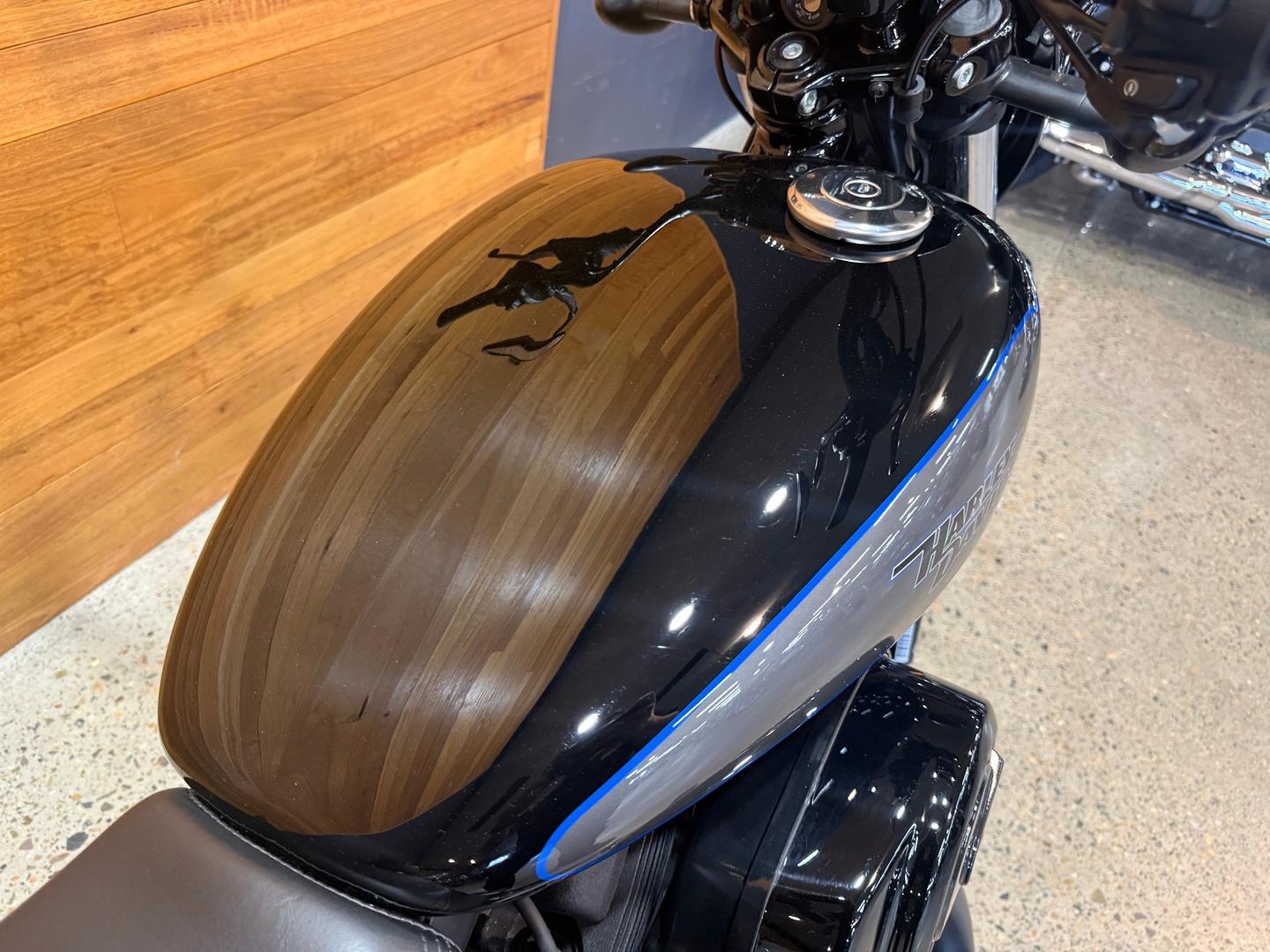 2020 HARLEY-DAVIDSON XG500 STREET 500 CRUISER