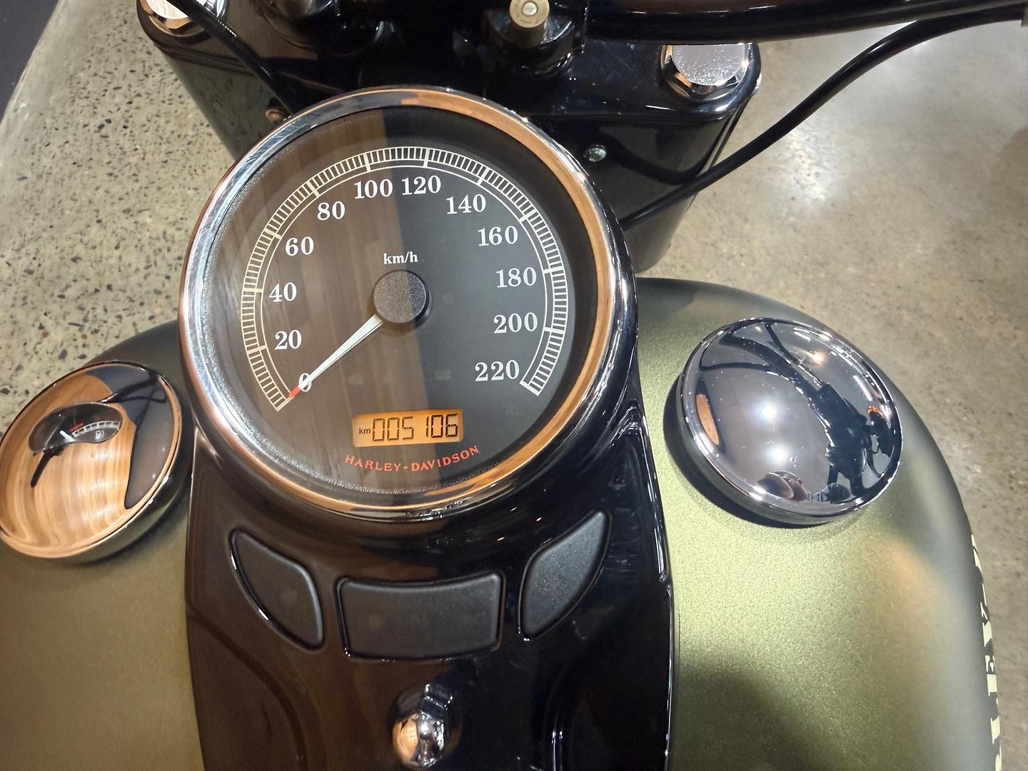2017 HARLEY-DAVIDSON FLSS SOFTAIL SLIM S CRUISER