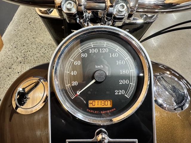 2013 HARLEY-DAVIDSON FLSTFB FAT BOY LO 110th ANN CRUISER