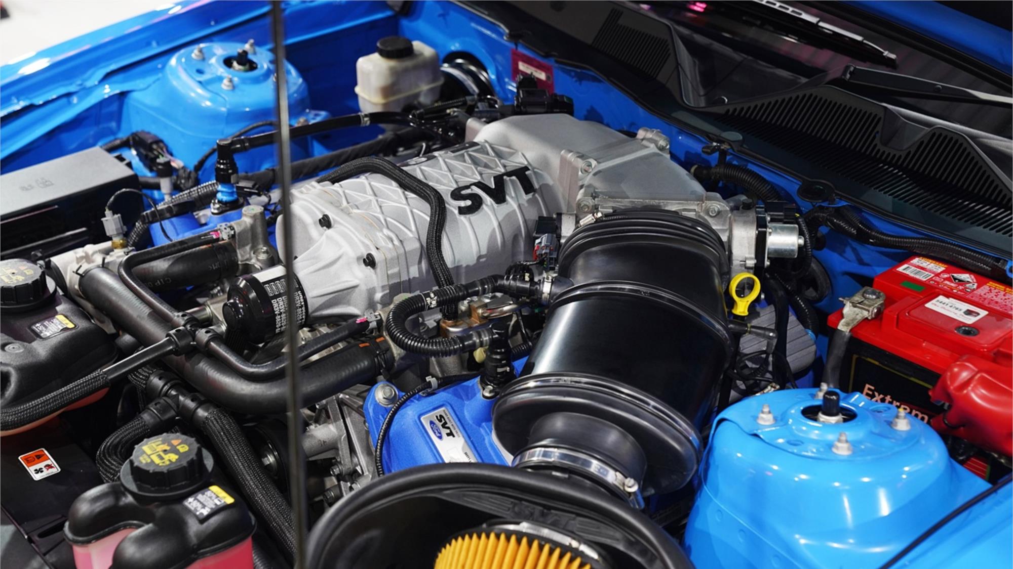 2014 FORD MUSTANG GT500 SHELBY MANUAL COUPE