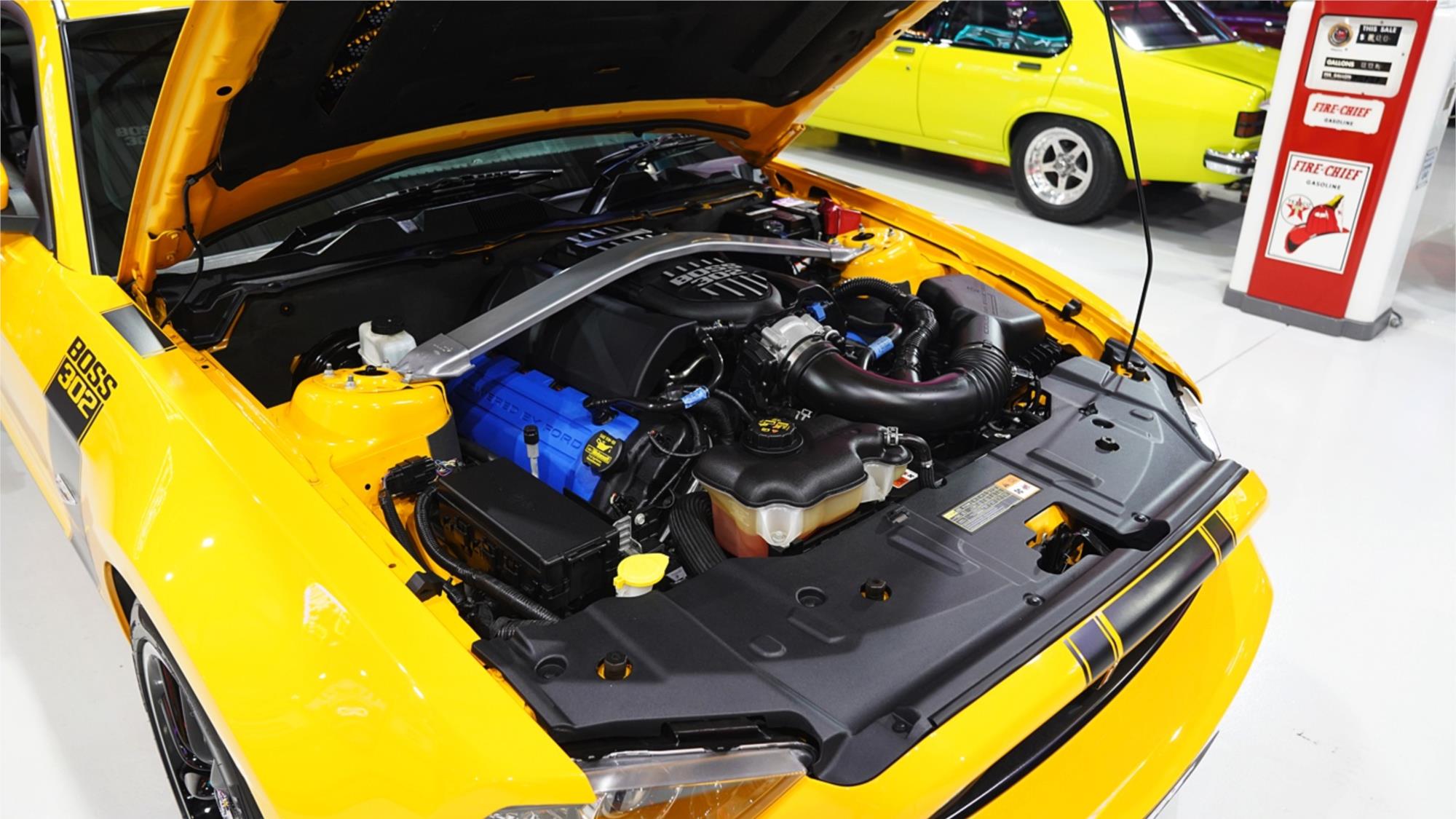 2013 FORD MUSTANG [EMPTY] BOSS 302 MANUAL COUPE