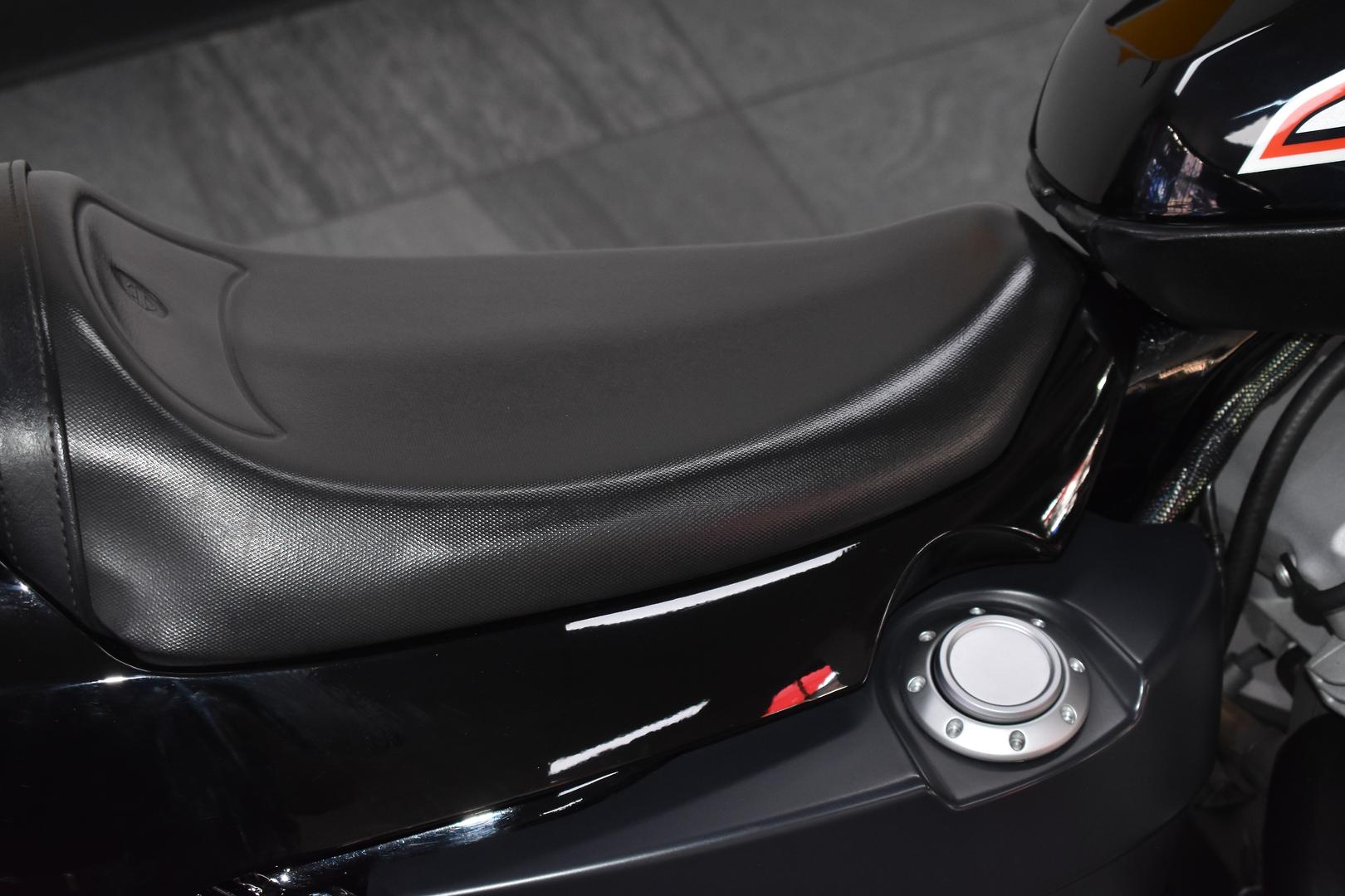 2010 HARLEY-DAVIDSON XR1200 CRUISER