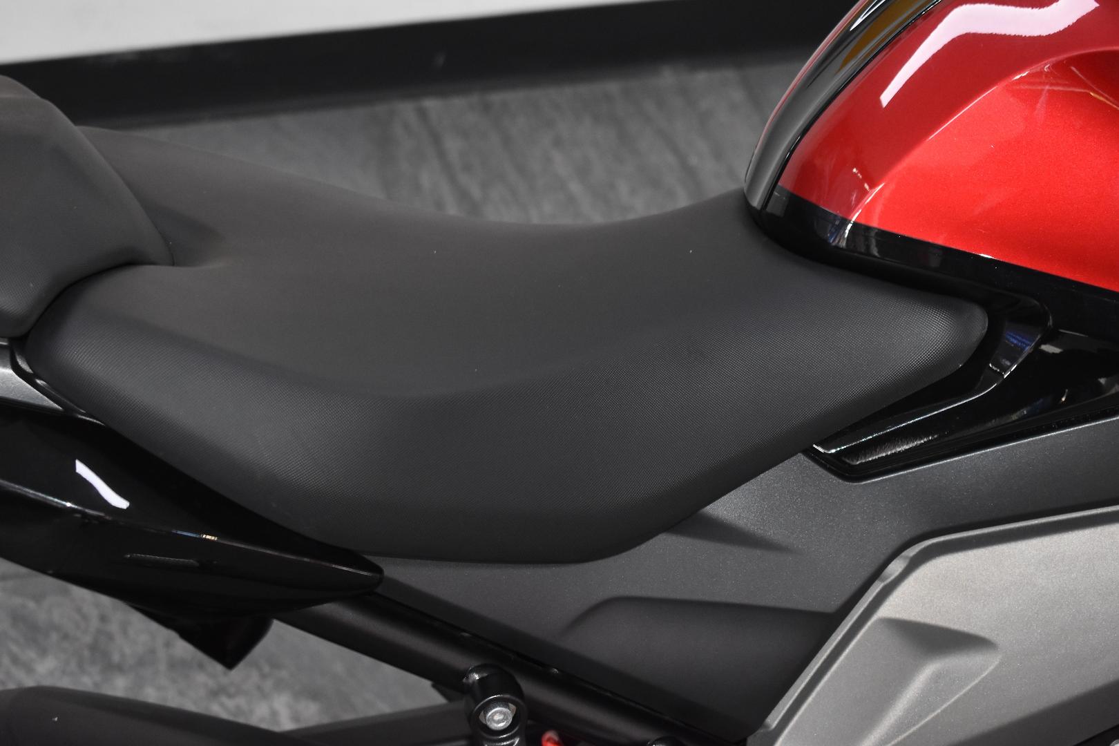 2024 TRIUMPH DAYTONA 660 LAMS ROAD