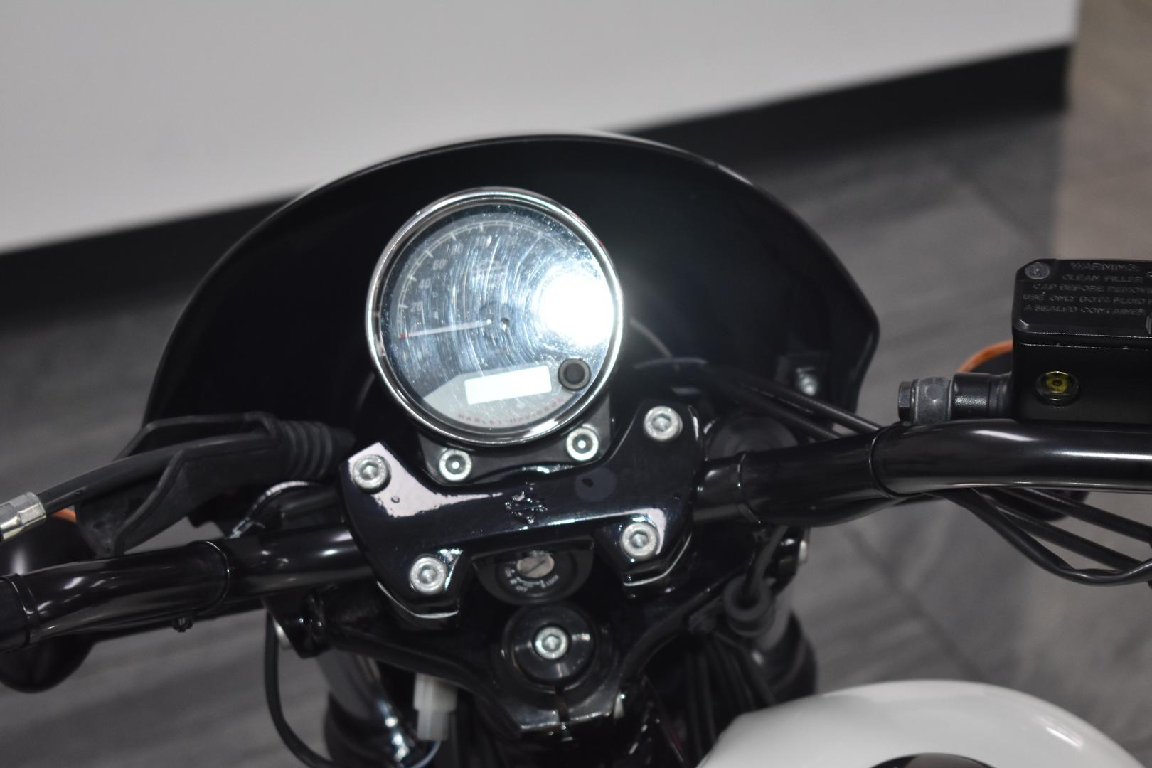 2019 HARLEY-DAVIDSON XG500 STREET 500 CRUISER