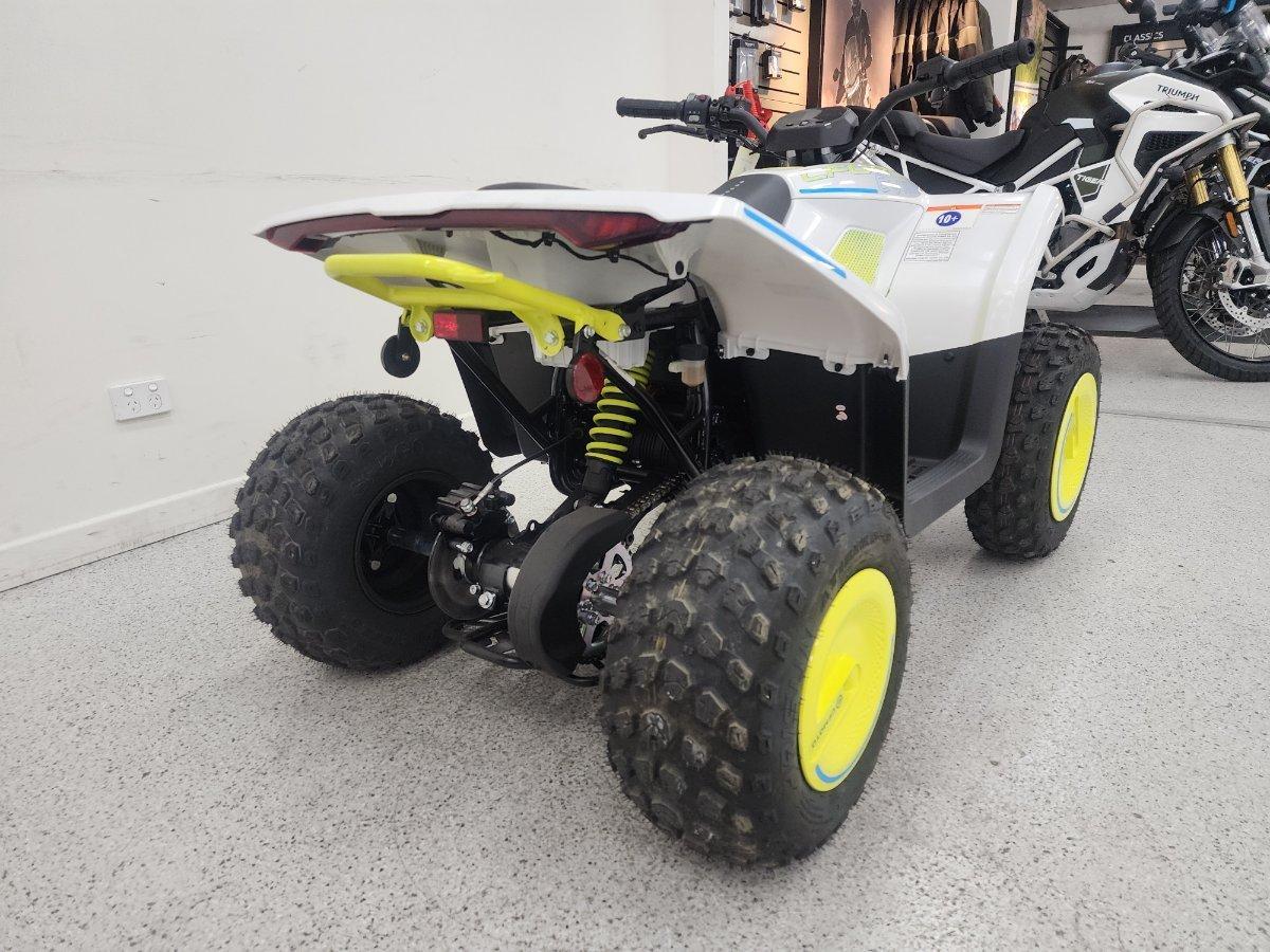 2025 CF MOTO C FORCE EV110 ATV
