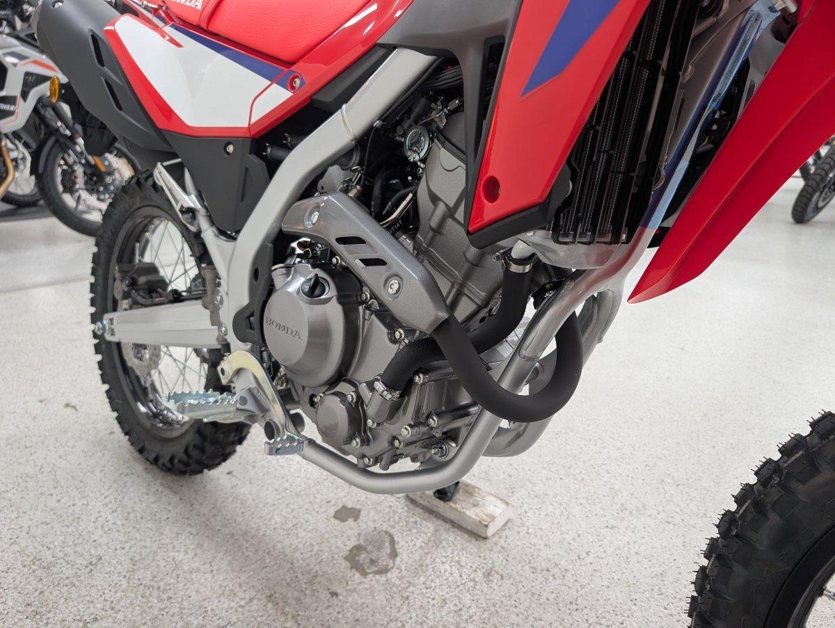 2025 HONDA CRF300L TRAIL