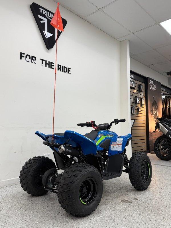 2026 CF MOTO C FORCE 110 SE ATV
