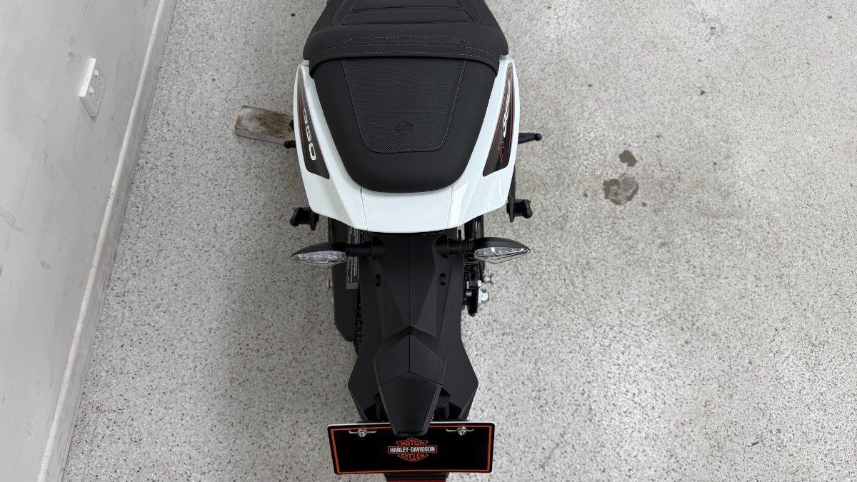 2024 HARLEY-DAVIDSON HD350-10 H-DX X350 CRUISER
