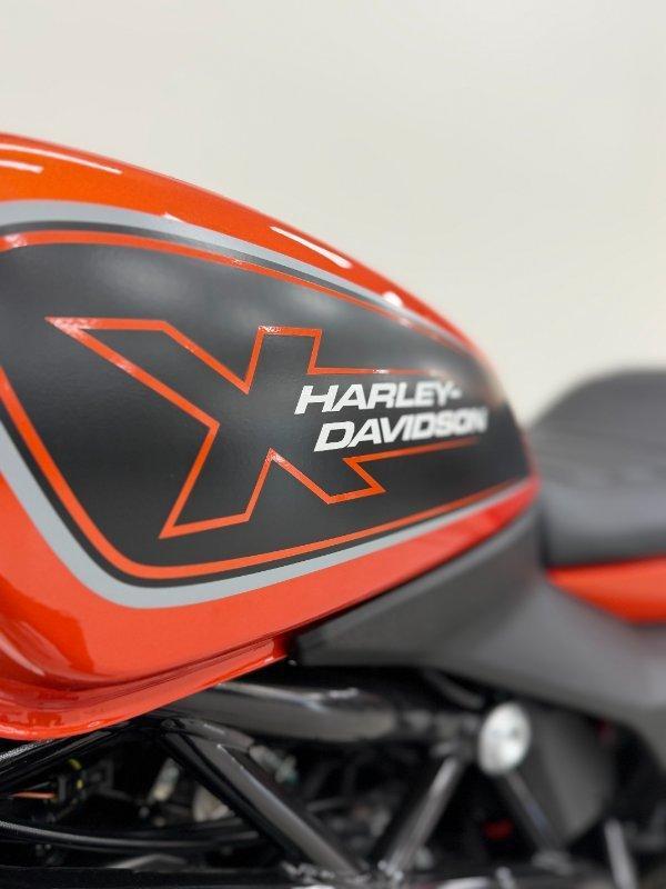 2024 HARLEY-DAVIDSON HD350-10 H-DX X350 CRUISER