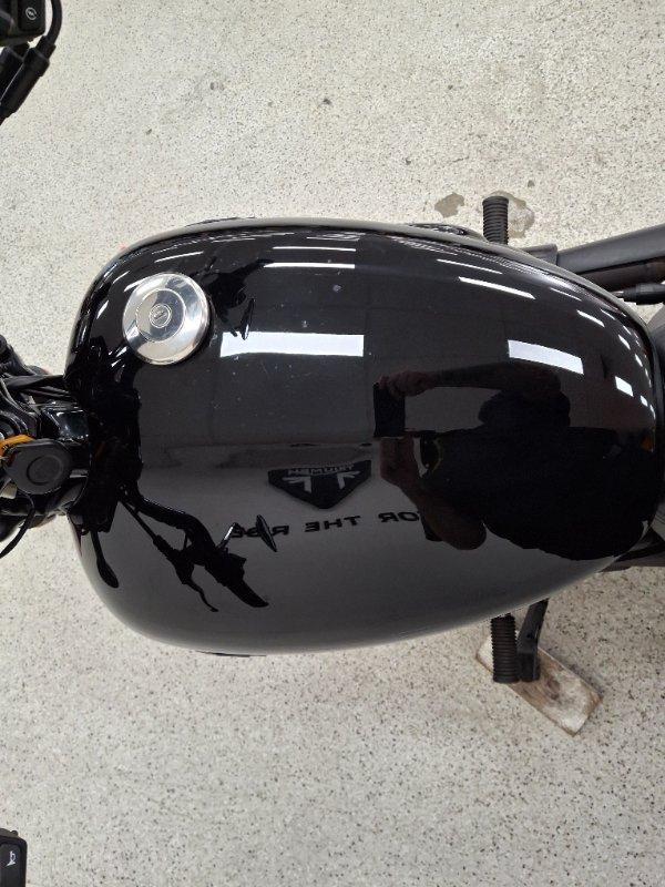 2019 HARLEY-DAVIDSON XG500 STREET 500 CRUISER