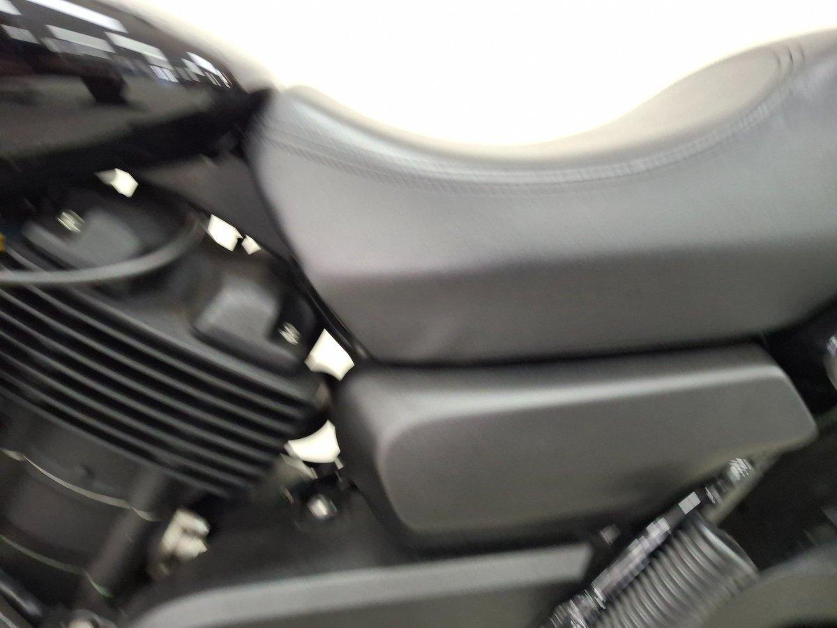 2019 HARLEY-DAVIDSON XG500 STREET 500 CRUISER