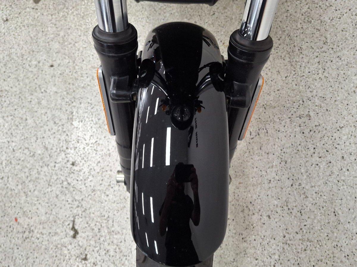 2019 HARLEY-DAVIDSON XG500 STREET 500 CRUISER