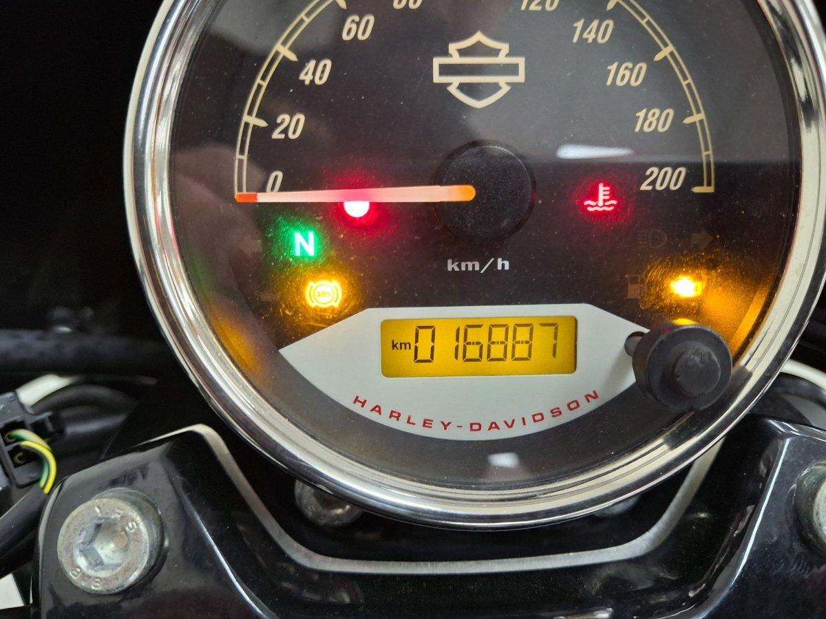 2019 HARLEY-DAVIDSON XG500 STREET 500 CRUISER