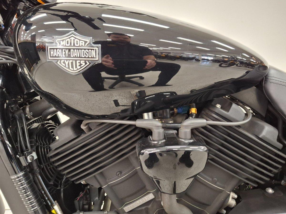 2019 HARLEY-DAVIDSON XG500 STREET 500 CRUISER