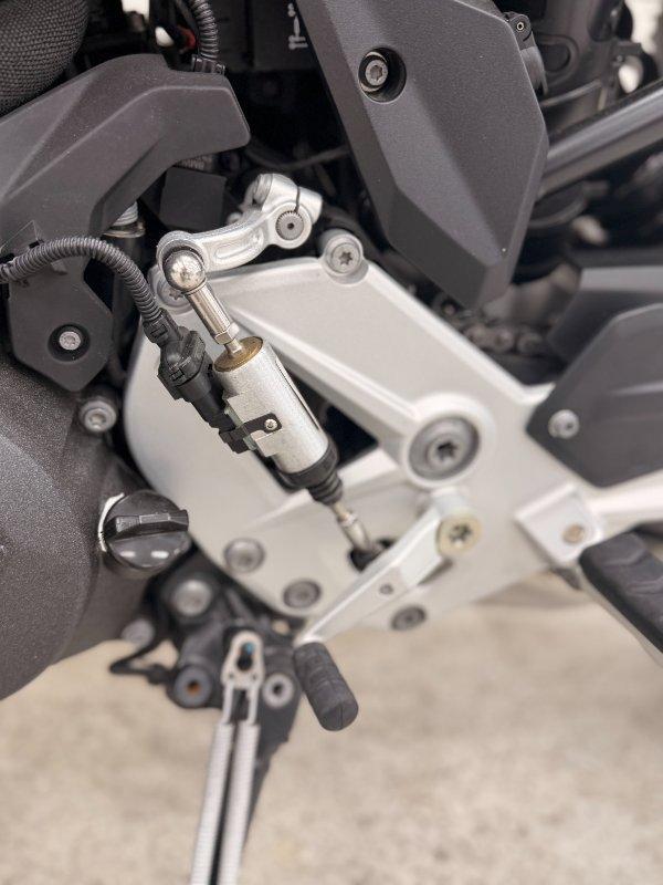 2024 BMW F 900 R ROAD