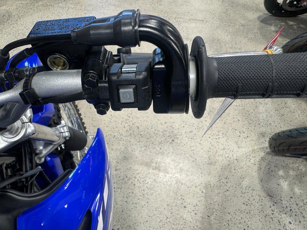 2026 YAMAHA TTR125LWE MINIBIKE