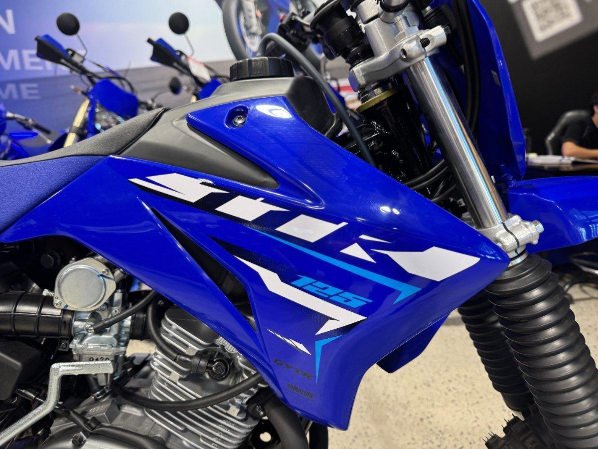 2026 YAMAHA TTR125LWE MINIBIKE
