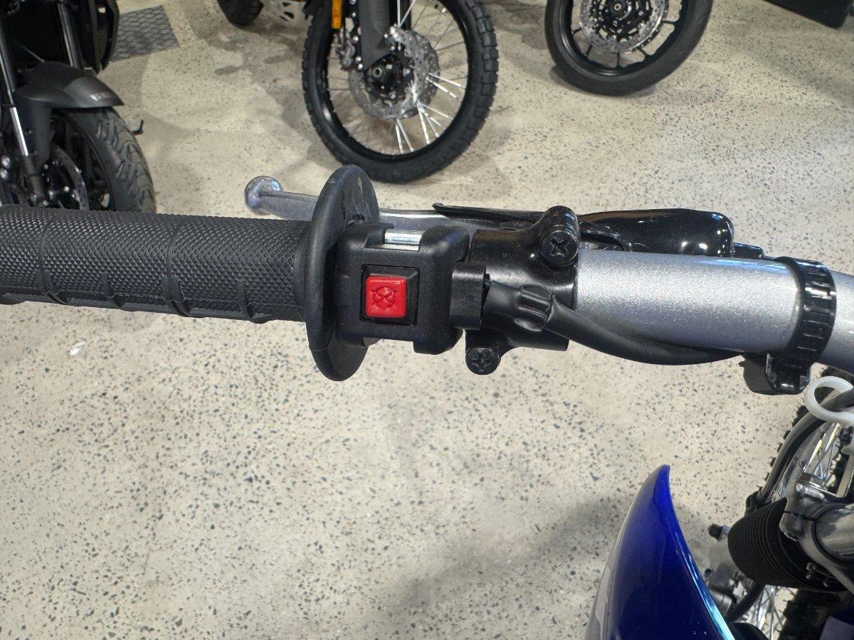 2026 YAMAHA TTR125LWE MINIBIKE