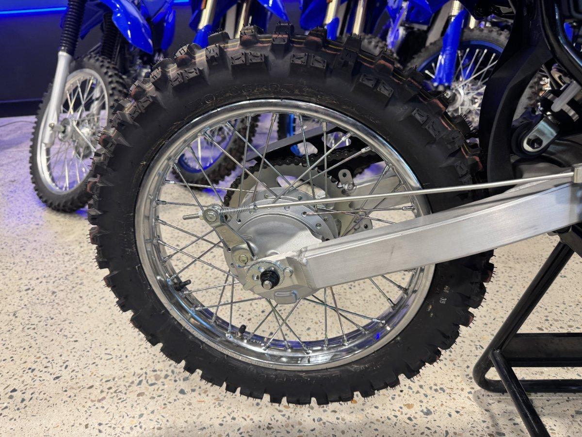 2026 YAMAHA TTR125LWE MINIBIKE