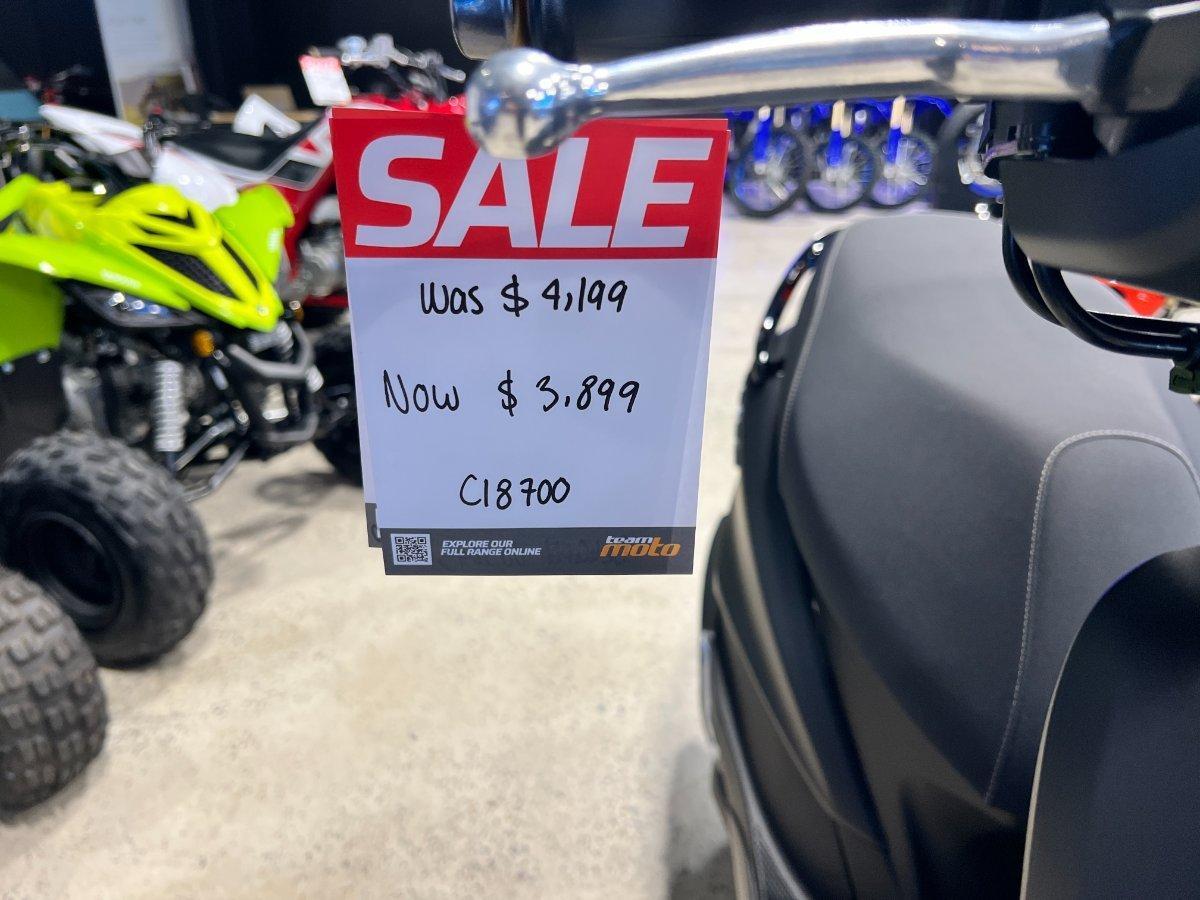 2026 YAMAHA D ELIGHT 125 (LTS125-C) SCOOTER