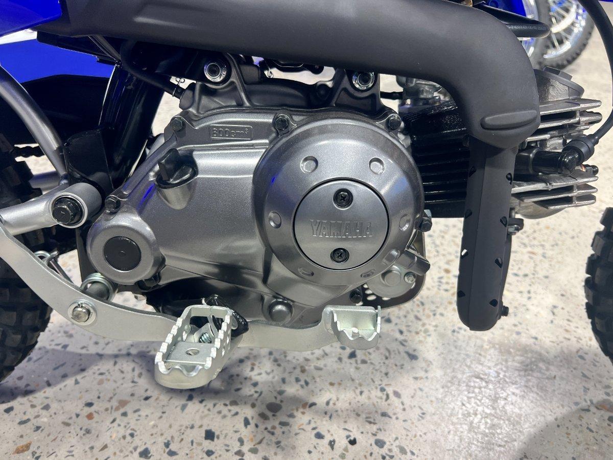 2025 YAMAHA TTR50E MINIBIKE