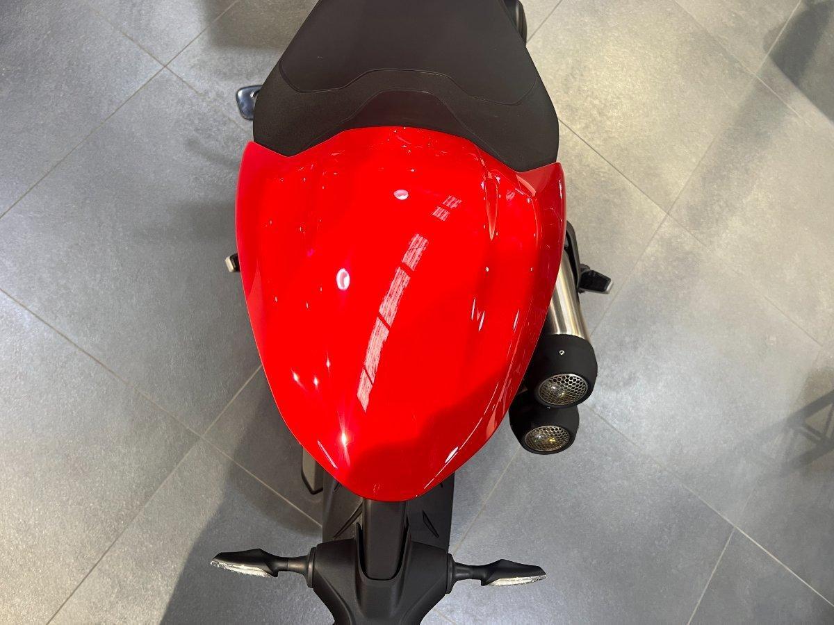 2026 DUCATI MONSTER + ROAD