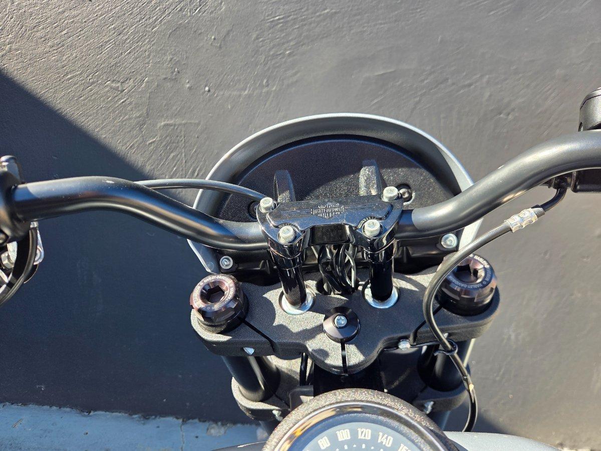 2020 HARLEY-DAVIDSON FXLRS LOW RIDER S (114) CRUISER