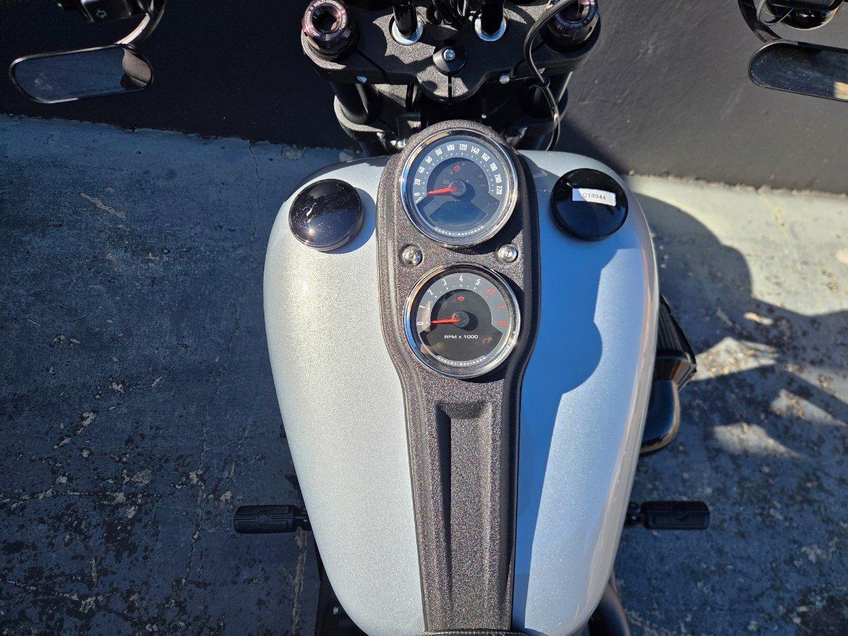 2020 HARLEY-DAVIDSON FXLRS LOW RIDER S (114) CRUISER