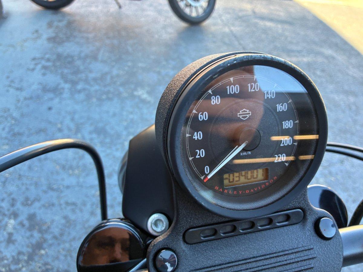2019 HARLEY-DAVIDSON XL883N IRON 883 CRUISER