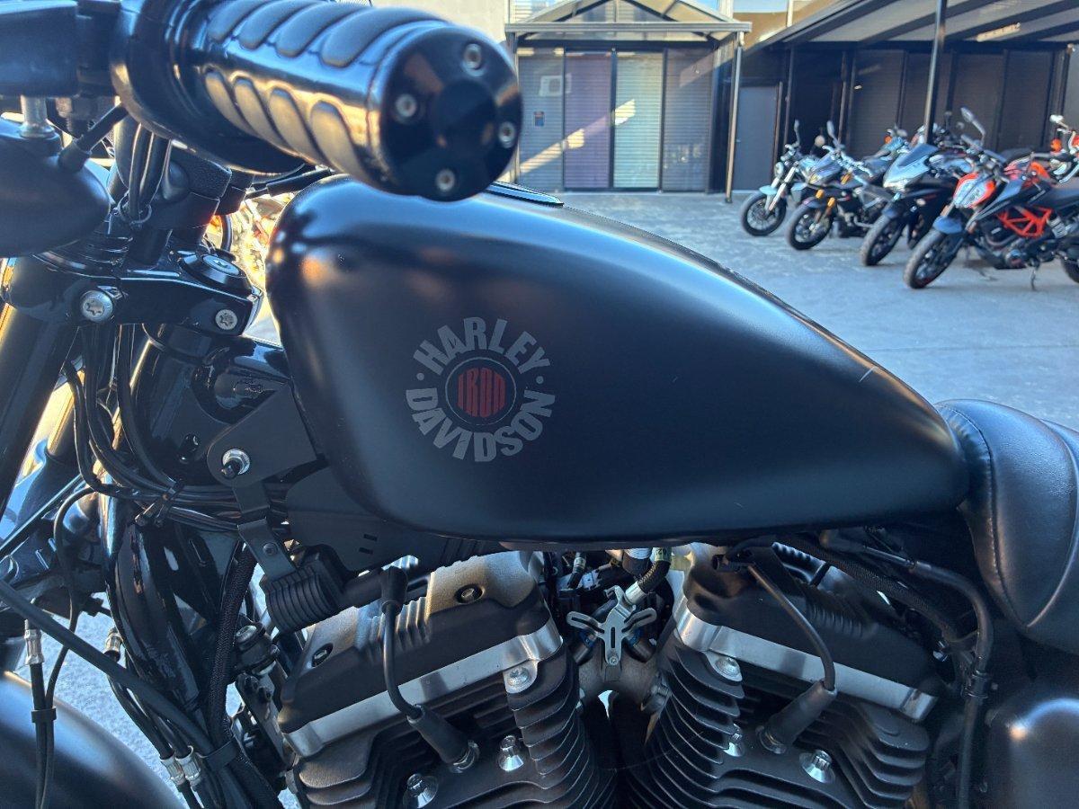 2019 HARLEY-DAVIDSON XL883N IRON 883 CRUISER