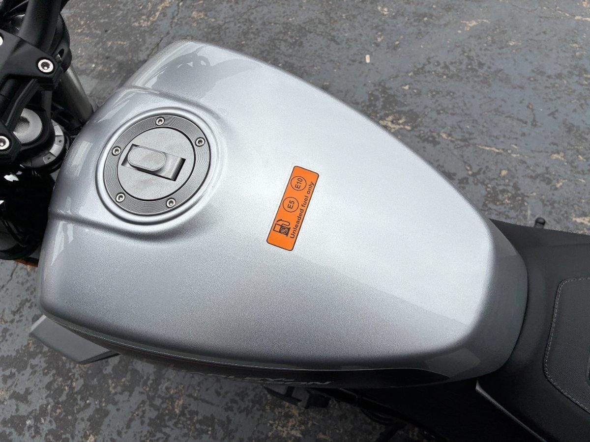 2024 HARLEY-DAVIDSON HD350-10 H-DX X350 CRUISER